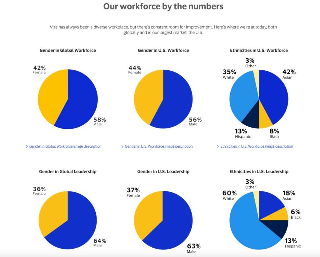 Visa workforce by numbers graphics with six different graphics shown. 