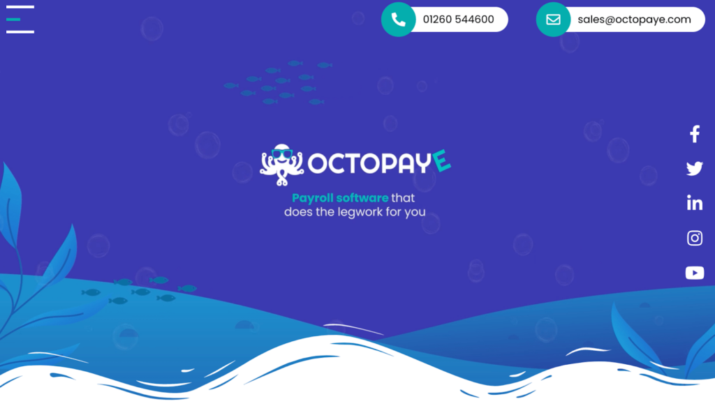 Octopaye homepage screenshot
